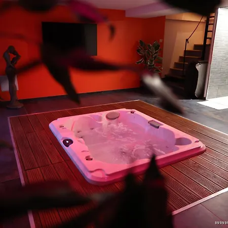 Ds Plaisir Love Room avec sauna, jacuzzi à Nancy-2